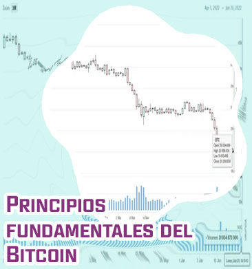 Cual fue el precio mas alto de bitcoin