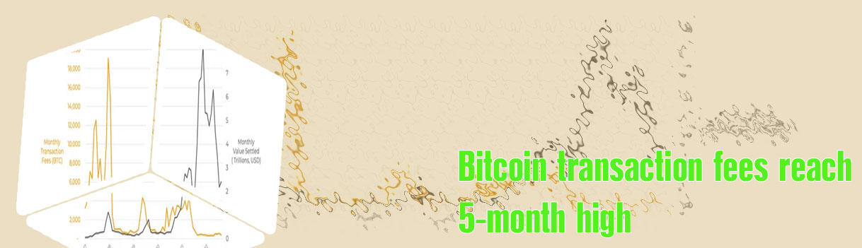 Transaction fee btc